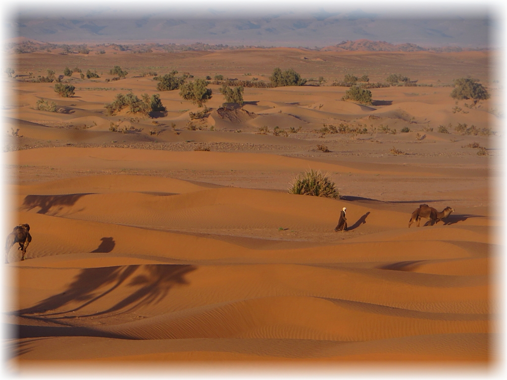 Erg Chegaga, Sahara.